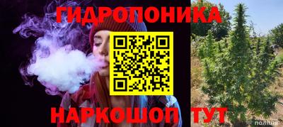 соль ск Краснодар