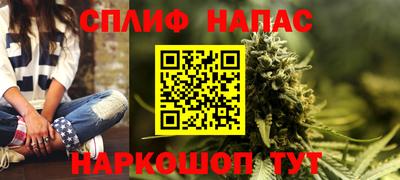 гашик Краснознаменск
