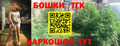 гашик Краснознаменск