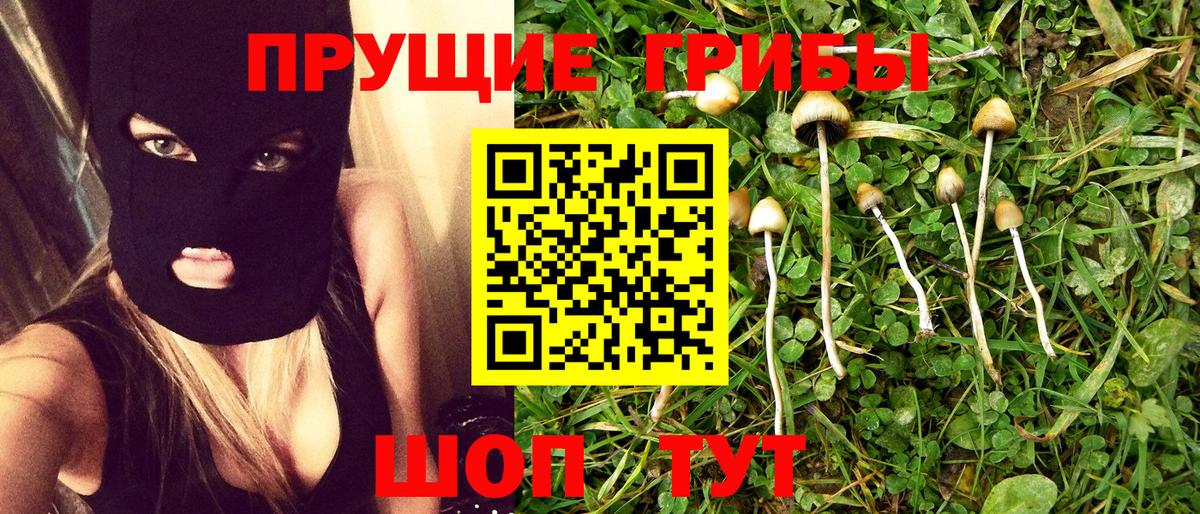 Псилоцибиновые грибы Psilocybine cubensis  Вход с VPN  Псилоцибиновые грибы Cubensis  Камень-на-Оби 